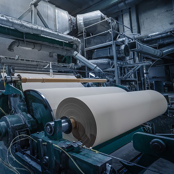 Pulp & Paper